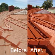 Clean a Tile Roof