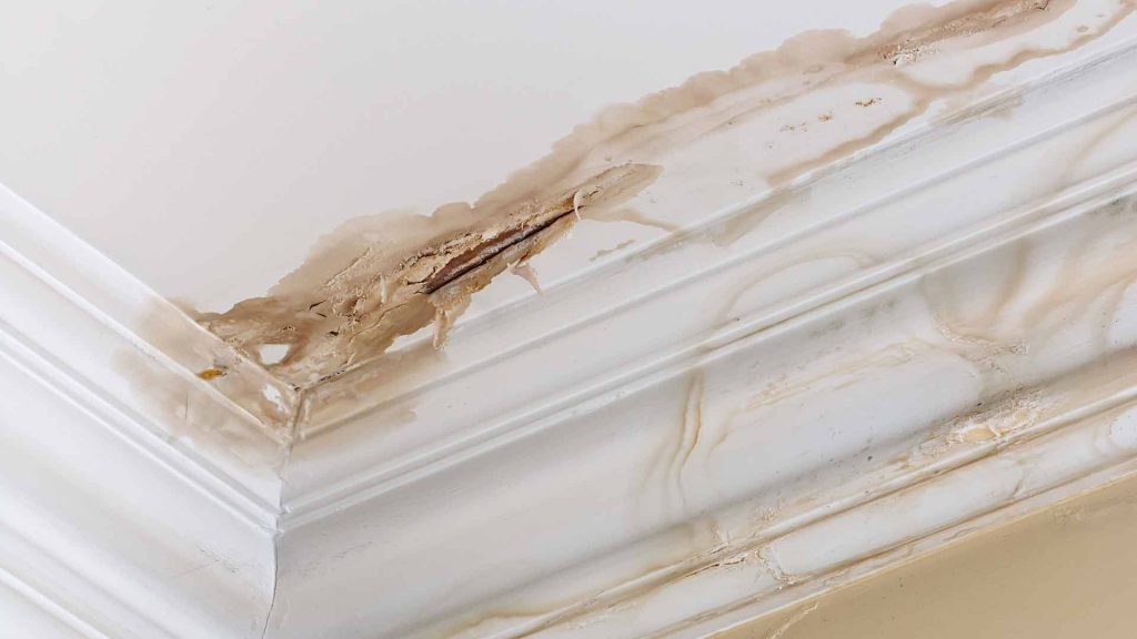 Cost to Repair Roof Leaks in Australia